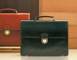 Сити-менеджер стал единовластным градоначальником