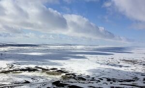 В Салехарде началась Международная конференция по безопасности в Арктике