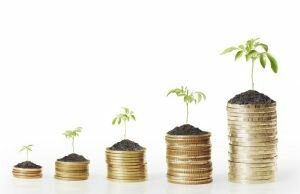 АСВ начинает выплату страхового возмещения вкладчикам РНКО «МГБ»