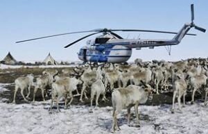 На Ямале создаются паспорта проектов по организации экспорта