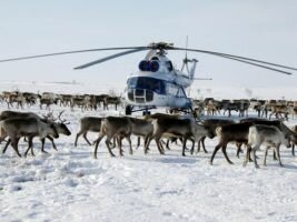 Грантовая поддержка – для сохранения традиционного образа жизни и культуры коренных народов Севера