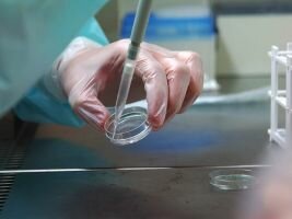 Требуется донор костного мозга