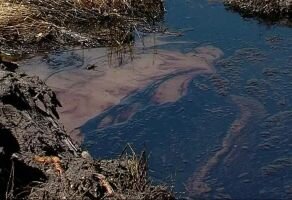 Руководство страны заинтересовала контрольно-надзорная деятельность Югры.