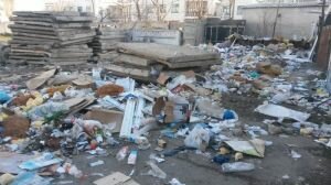 ОНФ запустят новый экологический проект «Генеральная уборка»