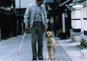 Инвалиды по зрению получат компенсацию на содержание собаки-проводника