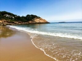 В США семейная пара убила приемного сына после просмотра фильма