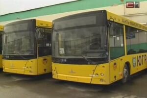 В Сургуте планируется пустить специальные автобусные маршруты в Родительский день