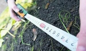 Росреестр: динамика поступления землеустроительной документации заметно повышается