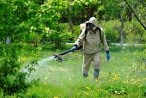 В Сургуте пройдет третий этап борьбы с клещами